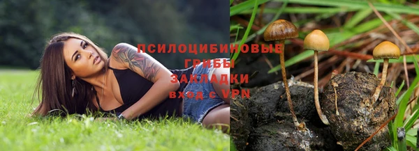 герыч Зеленокумск