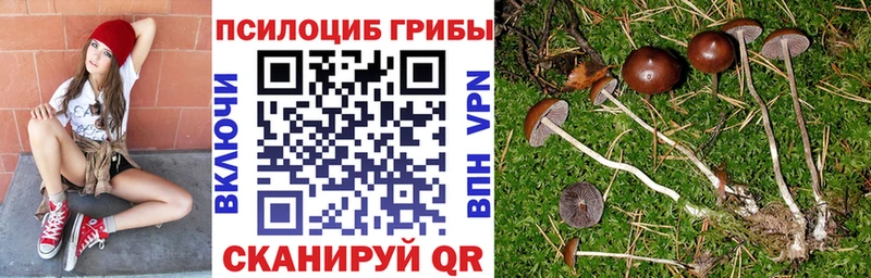 Псилоцибиновые грибы MAGIC MUSHROOMS  Купить закладки  Починок 